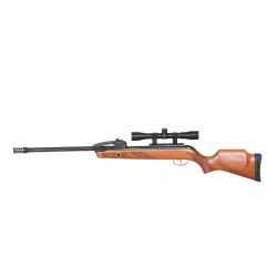 GAMO FAST SHOT 10 SET